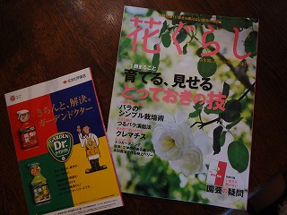 DSC00169.jpg