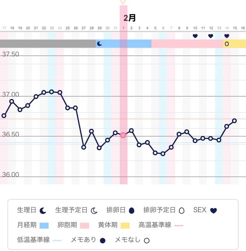 高温期1日目 ３人目にしてブログスタート 妊娠経過記録 楽天ブログ