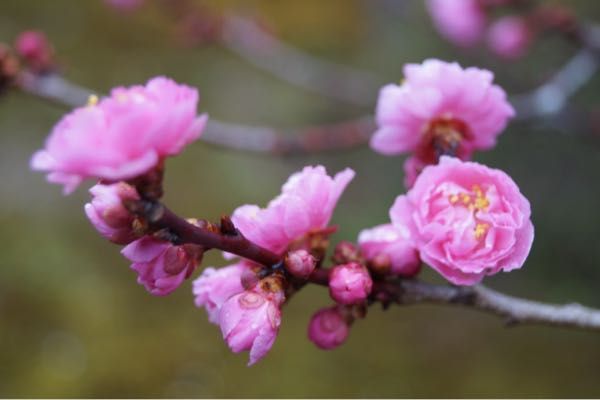 rblog-20180319233029-07.jpg
