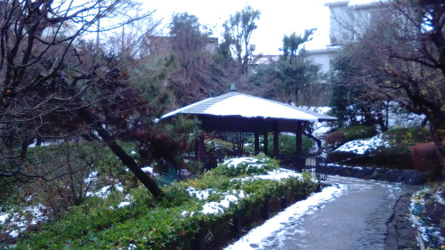 KIMG0149b20160118.jpg