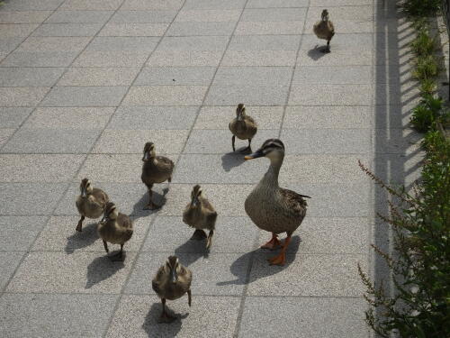 小池公園にて