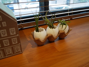P1030834.JPG