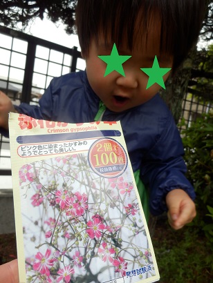 １００均の種