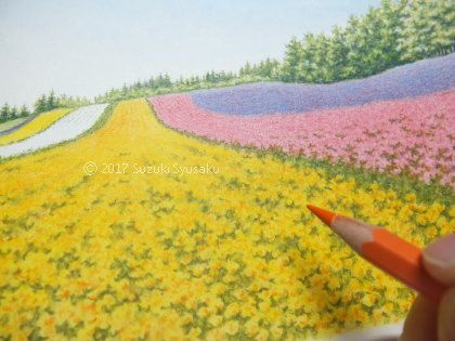 宮の森日記 花畑の風景 札幌の水彩色鉛筆画家 イラストレーター鈴木周作 楽天ブログ