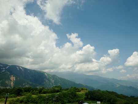 白馬五竜植物園より