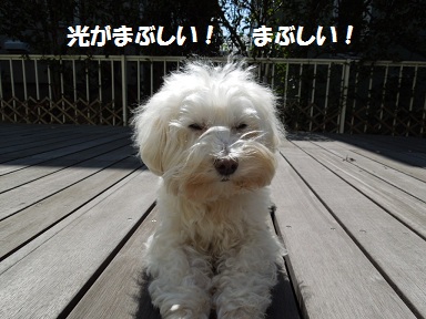まぶしい