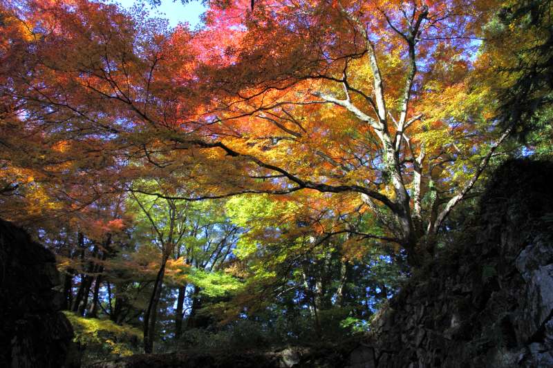 高取城_005.jpg