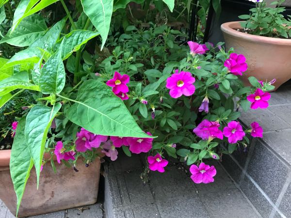 rblog-20180628165032-03.jpg