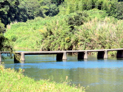 沈下橋