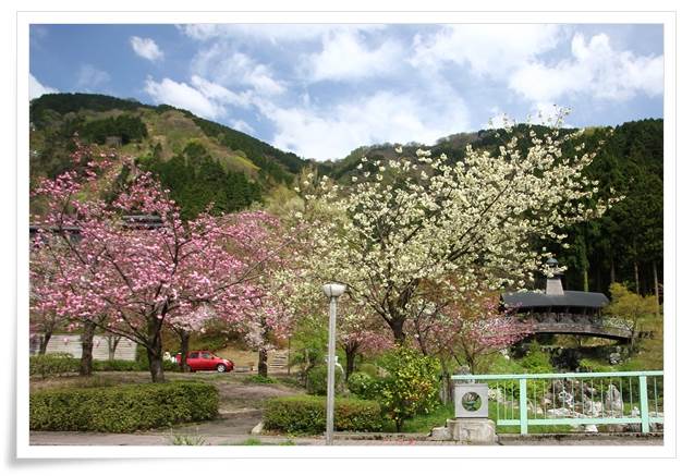 パーク獅子吼-5 15.4.22