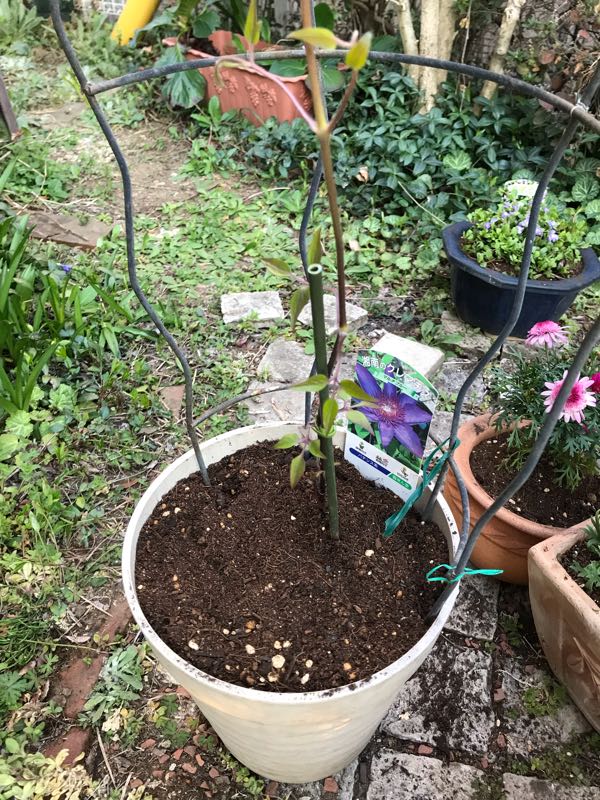 rblog-20190324174020-01.jpg