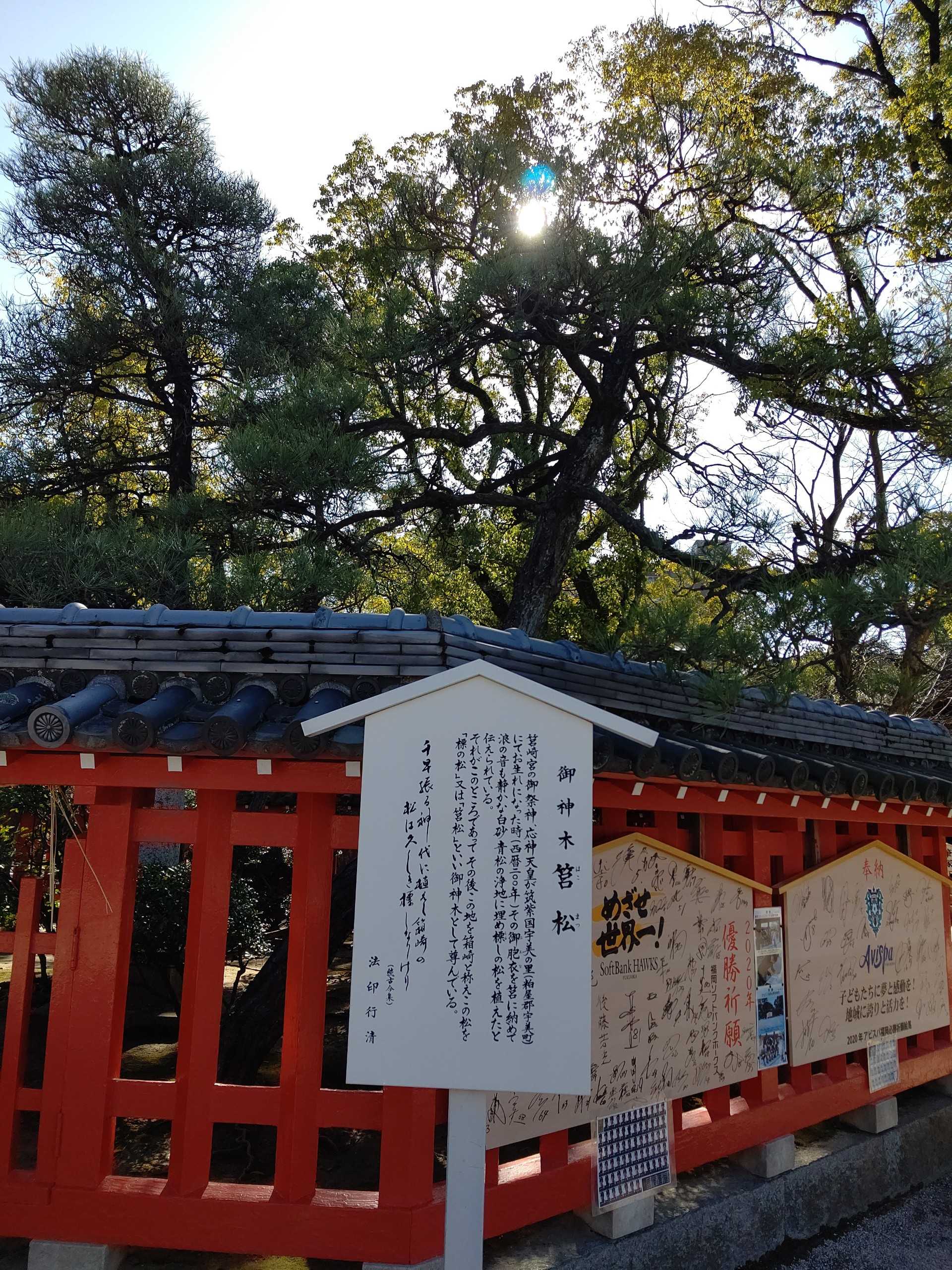 必勝祈願絵馬21 筥崎宮 再編集 ぷらすにゃん 楽天ブログ