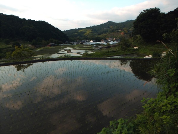 DSCF0339.JPG