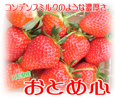 おとめ心2.jpg