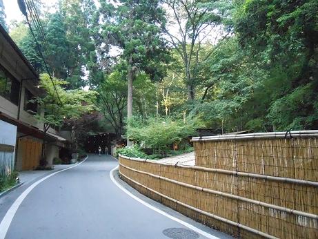 DSCN4658.jpg