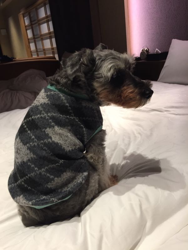 rblog-20161030070151-05.jpg