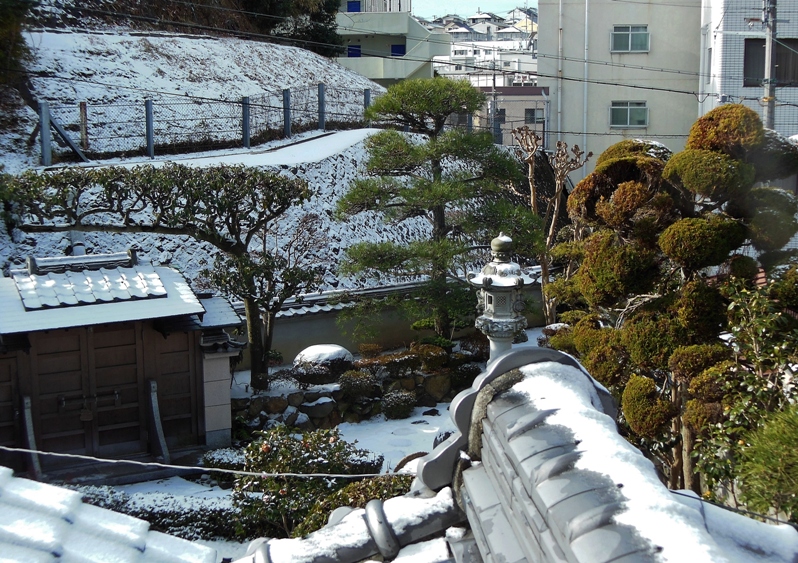雪景色1.JPG