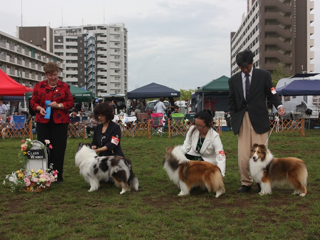 IMG_1447 - コピー.JPG
