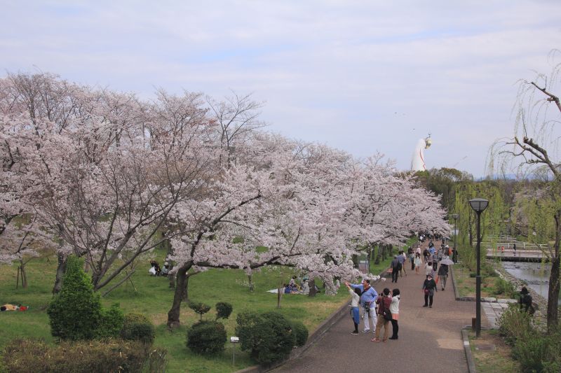 万博記念公園_007.jpg