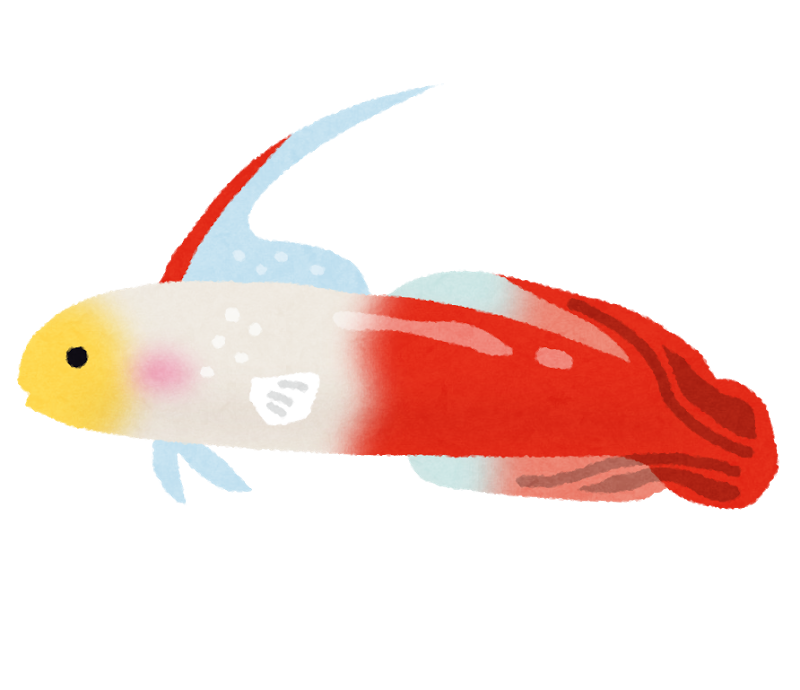 海水魚 Digiusagiのブログ 楽天ブログ