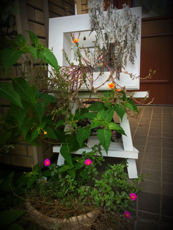 rblog-20160826100931-09.jpg