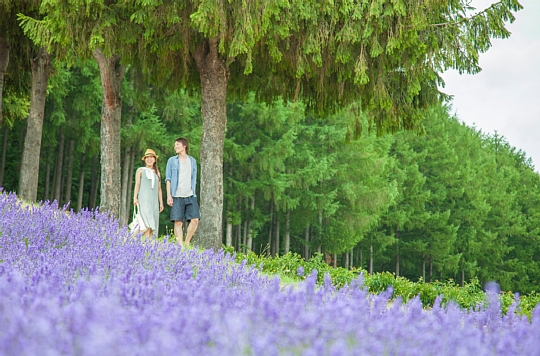 05 ラベンダー畑のふたり.jpg