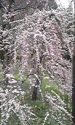 150318_155108.jpg