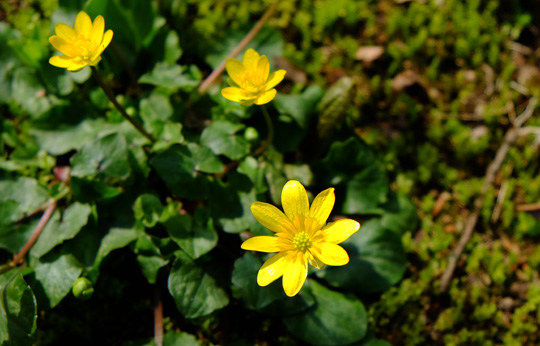 2016 03 31_2230.jpg
