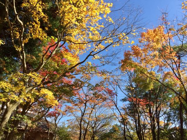 rblog-20171111182716-03.jpg