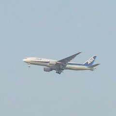 黄砂の空のＡＮＡ