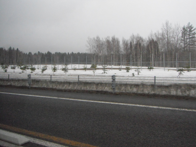 雪.jpg