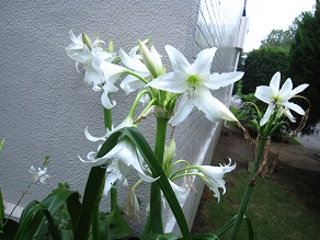 IMG_9186.JPG
