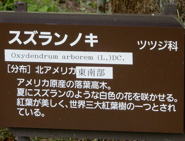 スズランノキname=