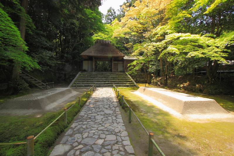 法然院_003白砂檀と山門.jpg