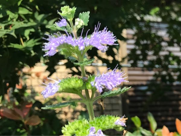 rblog-20170926173506-07.jpg