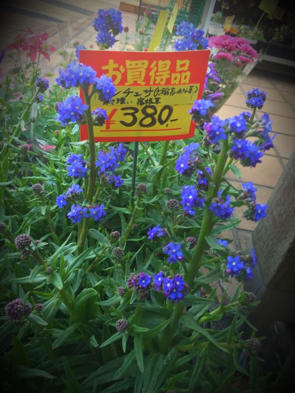 rblog-20160229191242-03.jpg