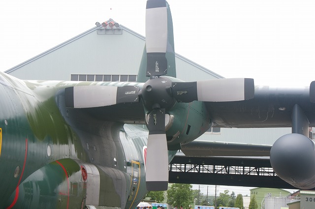 IMGP1136.jpg