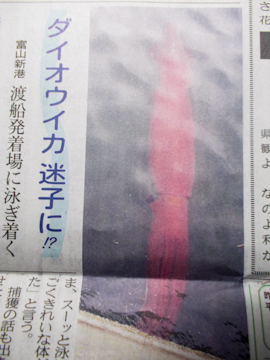 DSCN4422.jpg