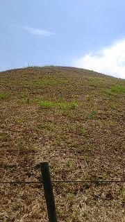 鉄砲山古墳４