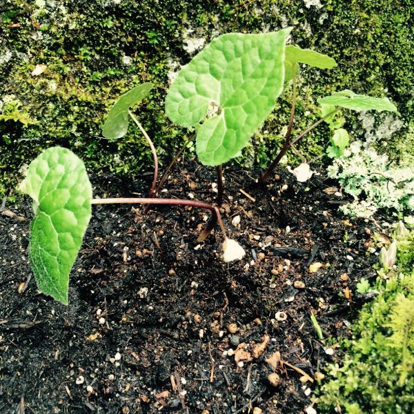 rblog-20160513140450-01.jpg