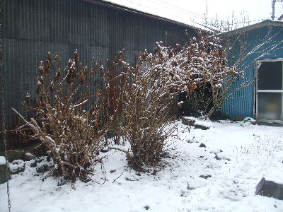 DSCF1910.jpg