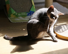 5DA_7575-20.jpg