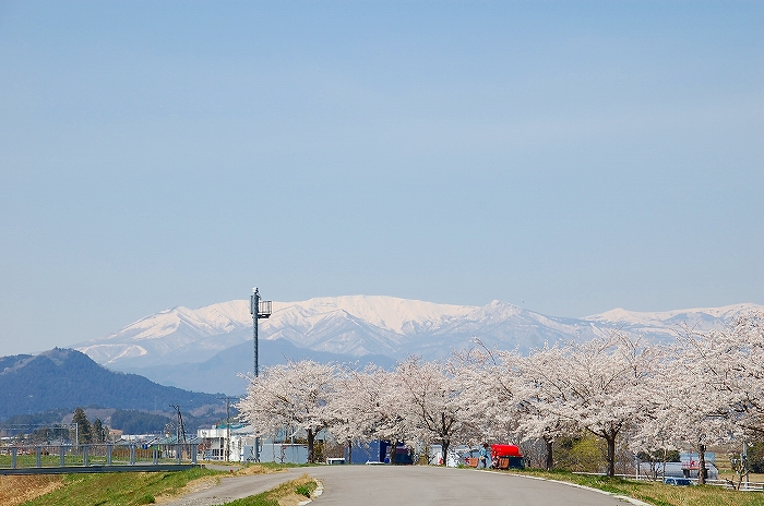 つきのきの土手から・・