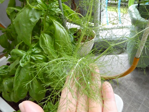 P1000854.JPG