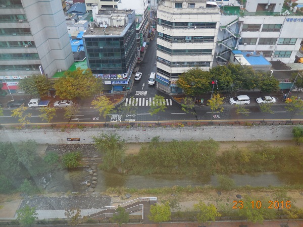 DSCN8995.jpg
