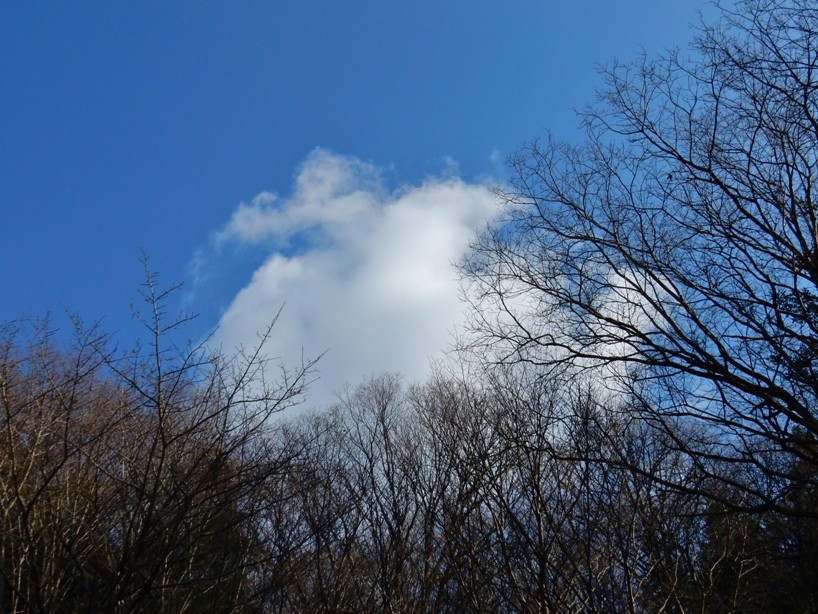空5.JPG