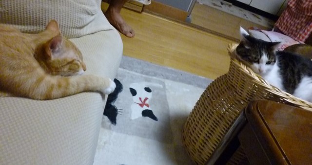 にゃんこ