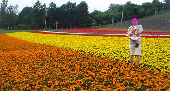 20130815中富良野