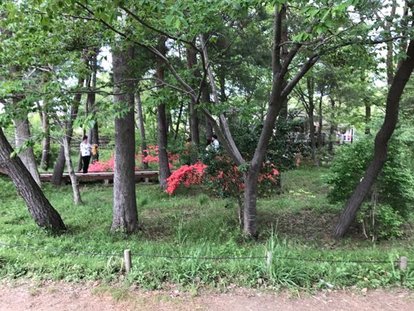 rblog-20170501131633-02.jpg