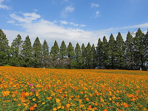 IMG_6160.jpg